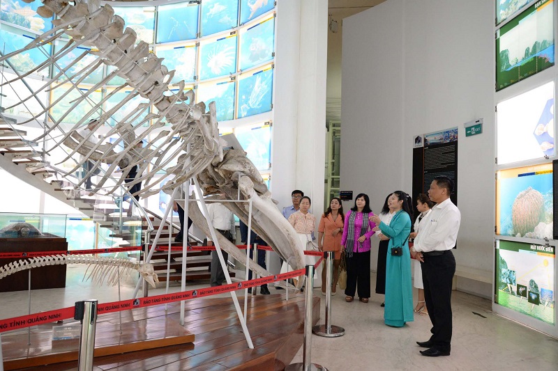 tham-quan-bao-tang-quang-ninh