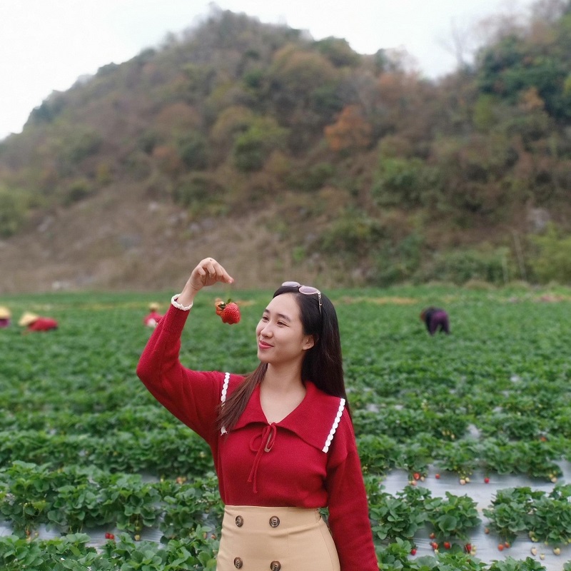 check-in-giua-vuon-dau-moc-chau-xanh-muot