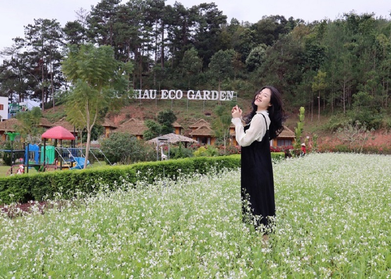dao-bo-moc-chau-eco-garden