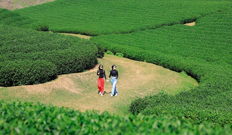 du-lich-moc-chau-thang-10