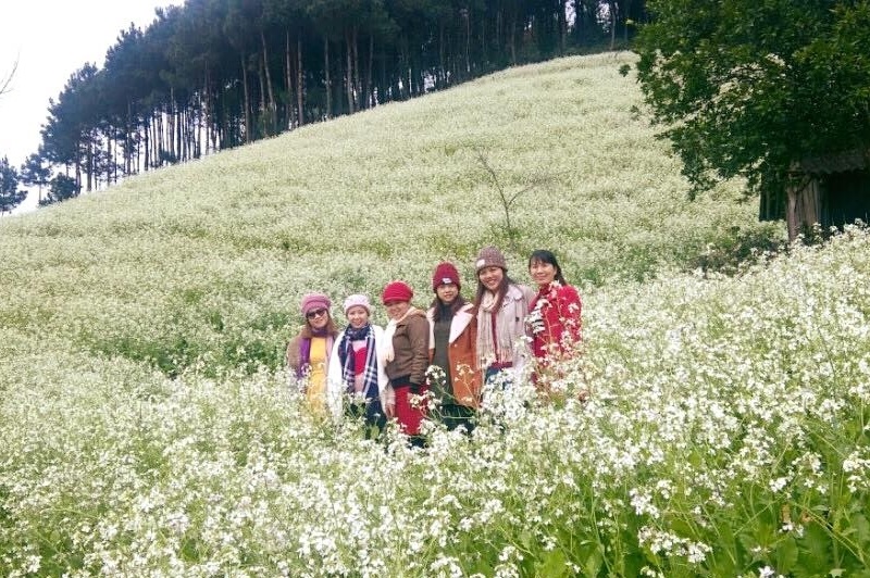 moc-chau-thang-12-mua-hoa-cai