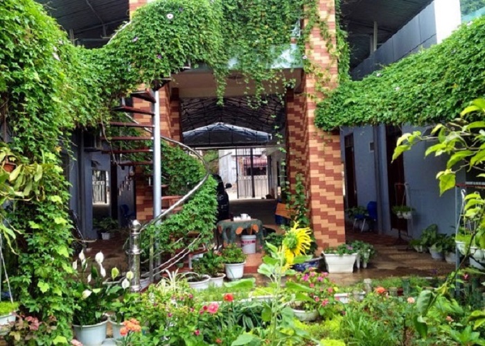 nha-nghi-hoa-anh-dao-moc-chau