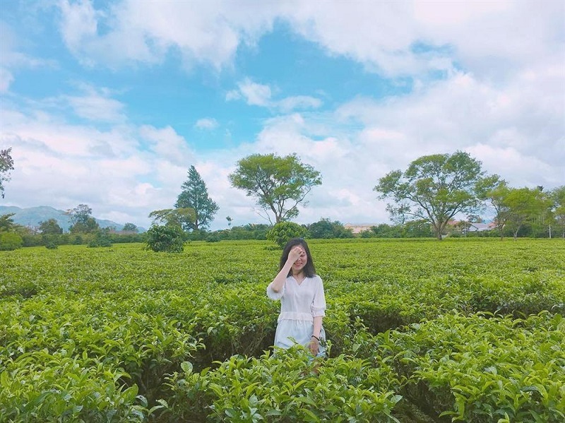 nhung-dieu-can-luu-y-khi-du-lich-moc-chau-thang-8