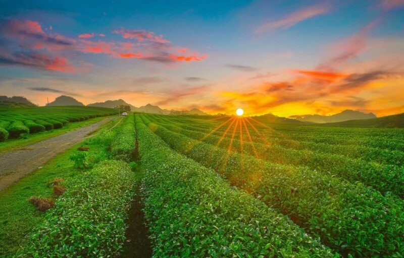 thoi-tiet-moc-chau-thang-8