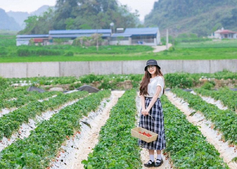 thoi-tiet-thuan-loi-den-moc-chau