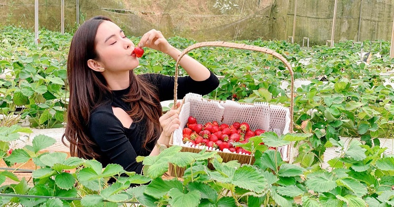 thuong-thuc-dac-san-tai-vuon-dau