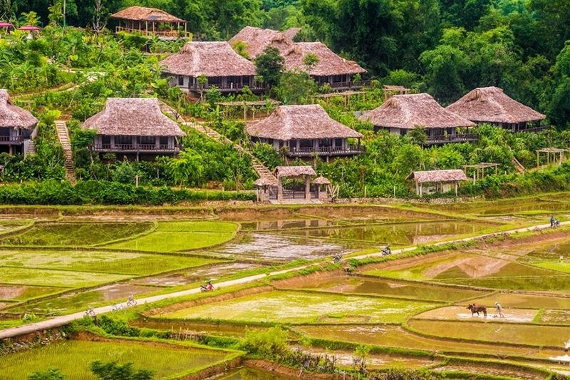 ban-lac-mai-chau