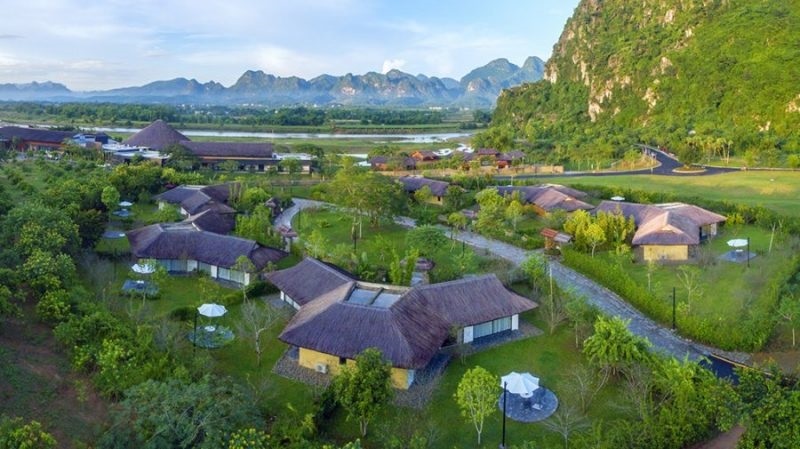 kim-boi-hoa-binh