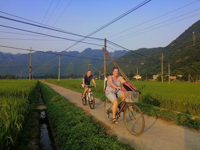 nhieu-hoat-dong-xanh