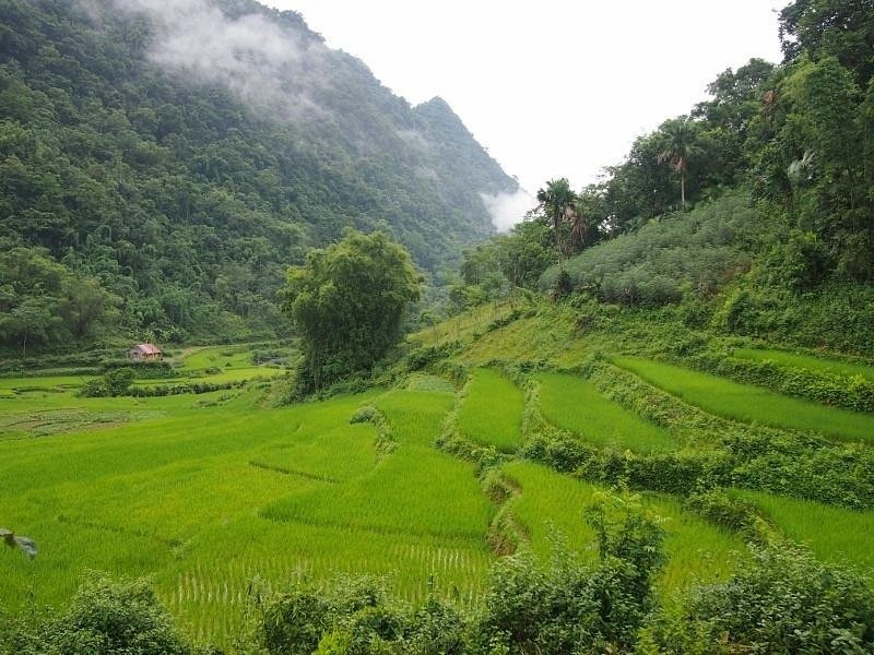 vuon-quoc-gia-pu-luong