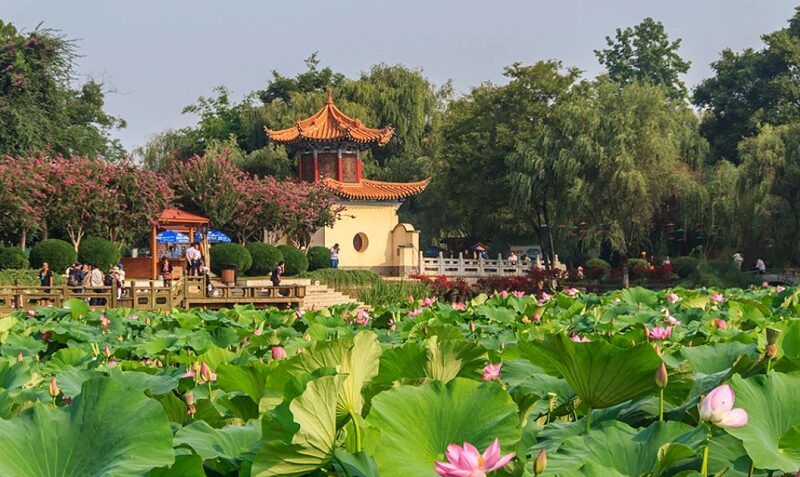 cong-vien-dai-quan-lau