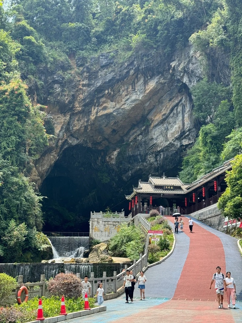 long-lan-cung-an-thi