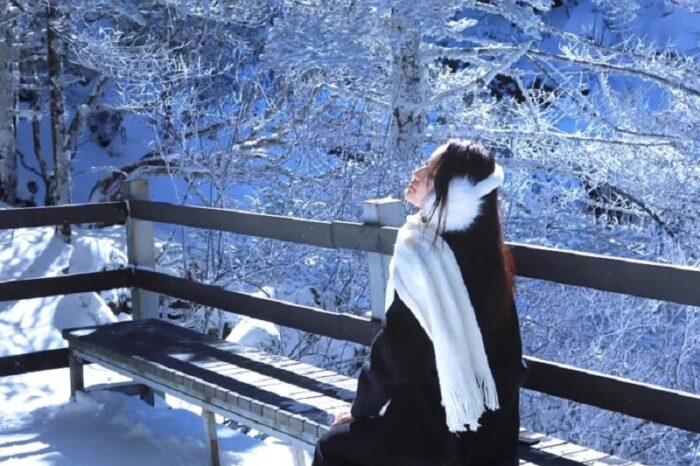 Tour Hà Nội – Hà Khẩu – Côn Minh – Núi Tuyết Kiệu Tử (Noshop) 4 Ngày 4 Đêm