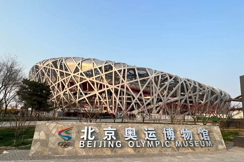 San-van-dong-to-chim