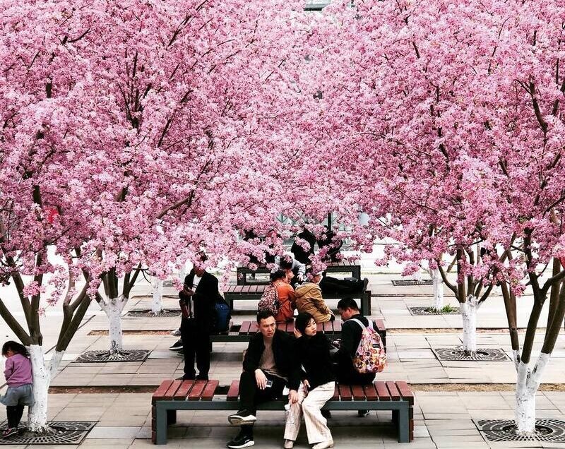 bac-kinh-thang-3-dep