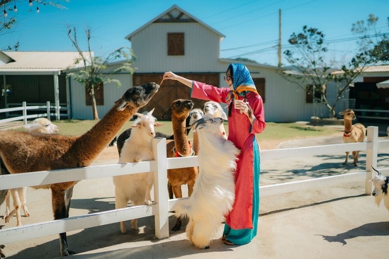 checkin-song-ao-voi-khong-gian-thien-nhien-vuon-thu-zoo-doo