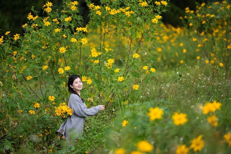mua-hoa-da-quy-da-lat