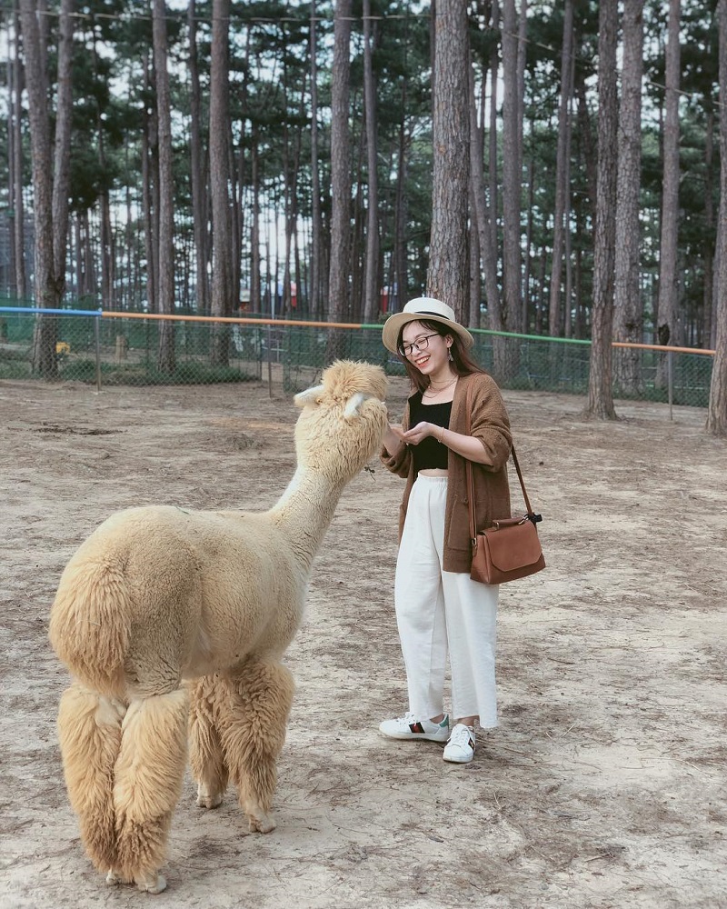 nhung-dieu-can-luu-y-khi-den-so-thu-zoo-doo