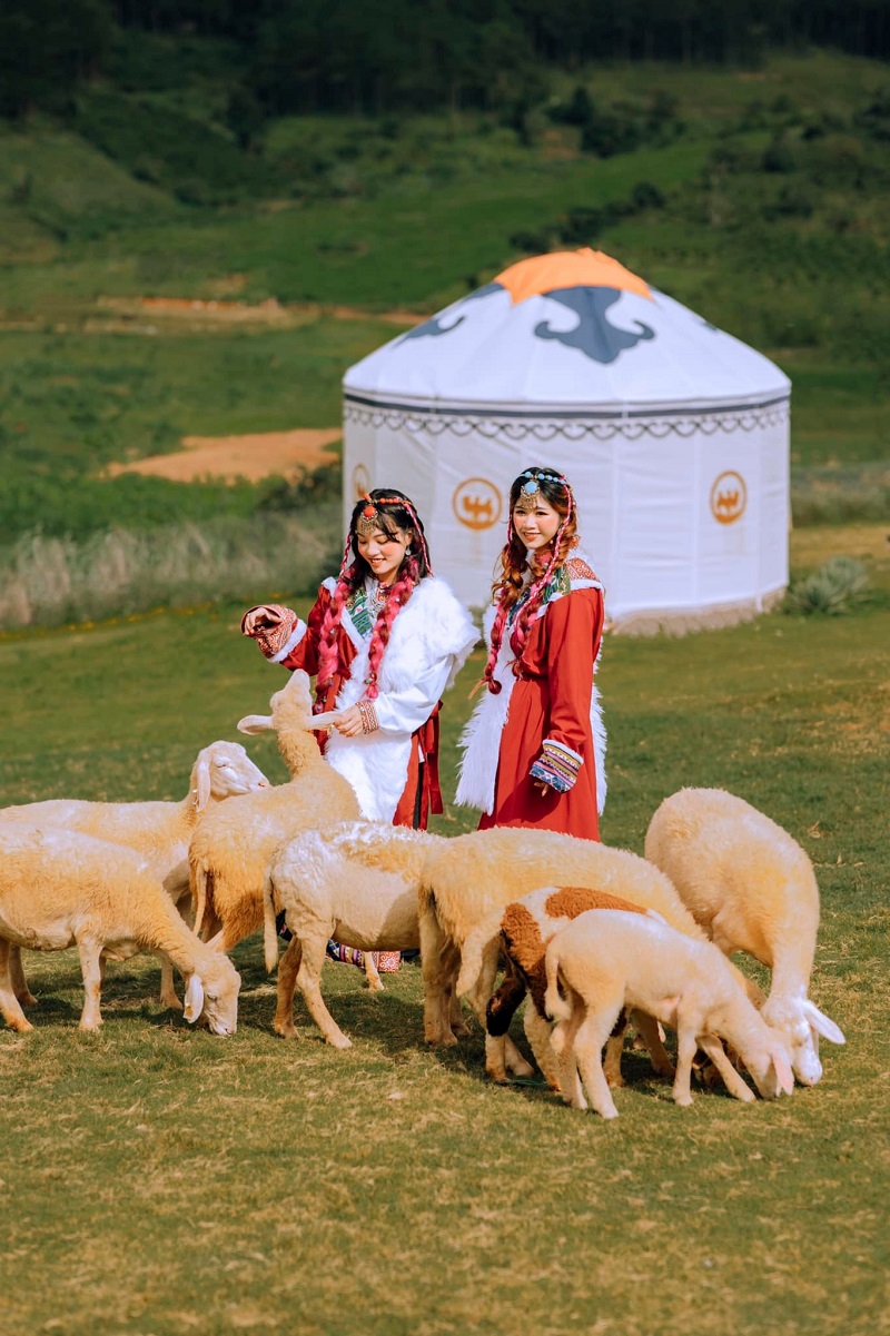 nhung-dieu-can-luu-y-khi-di-du-lich-mongo-land-dalat