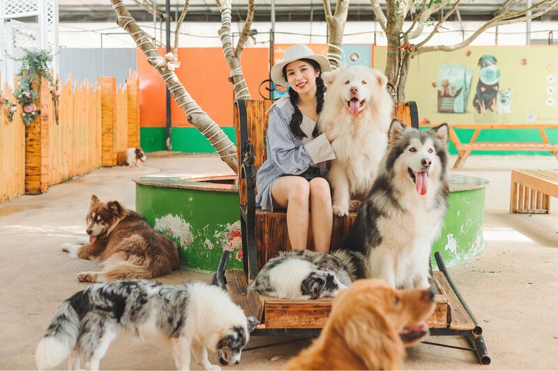 puppy-farm-da-lat