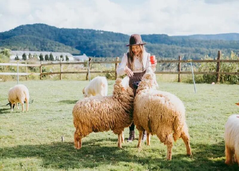 checkin-chika-farm