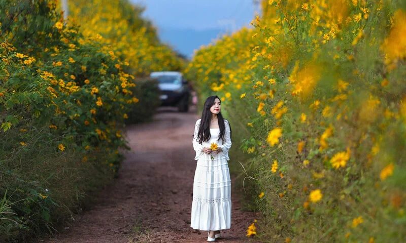 checkin-da-lat-thang-9