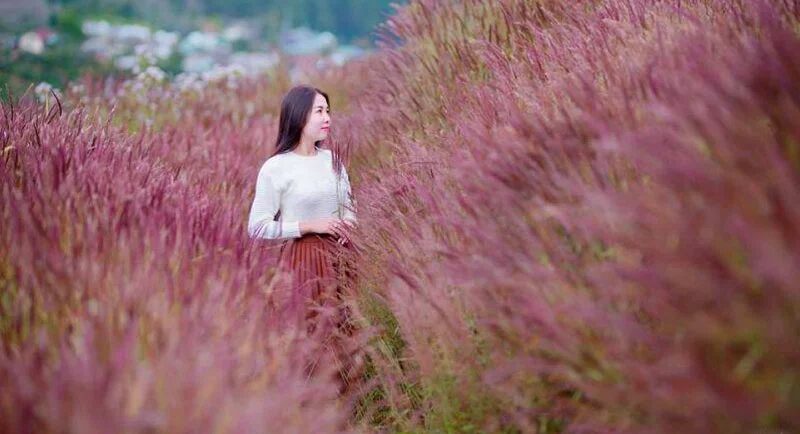 checkin-doi-co-hong-da-lat