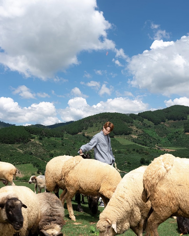 checkin-song-ao-chika-farm