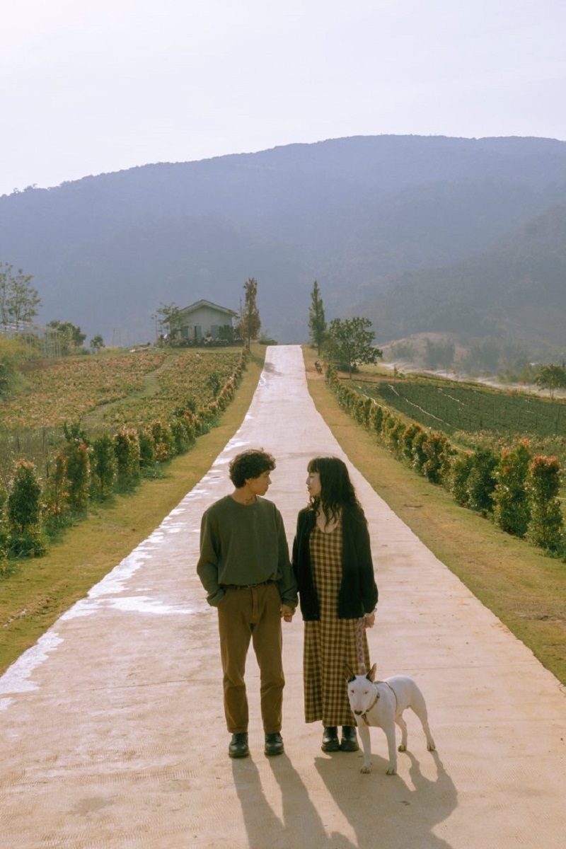 chup-anh-checkin-da-lat
