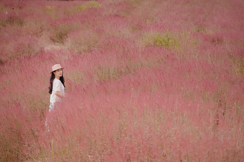 chup-anh-phong-canh-dep