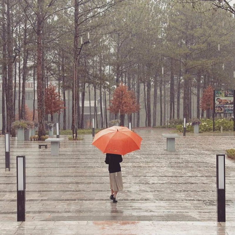 da-lat-thang-8-binh-yen