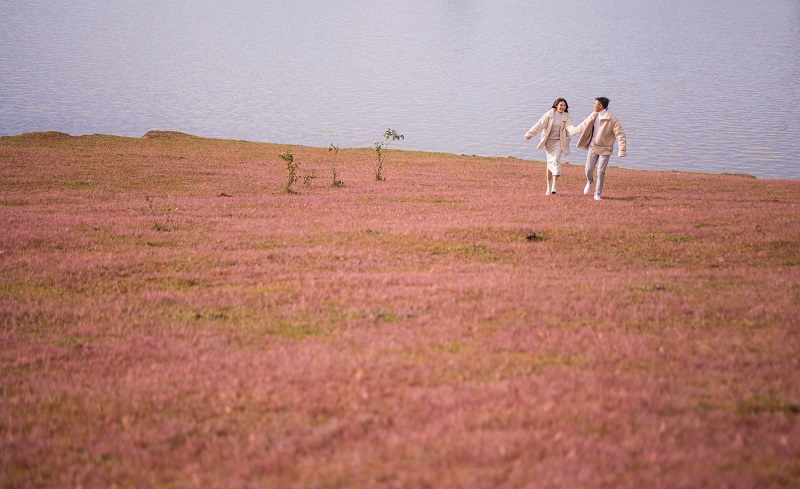 dao-bo-doi-co-hong-da-lat