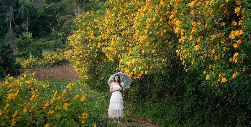 dao-bo-ngam-hoa-da-quy