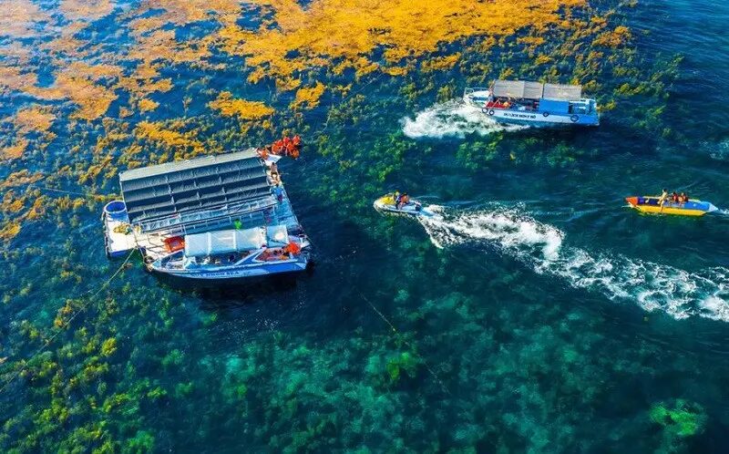 di-cano-ra-bien-hon-kho