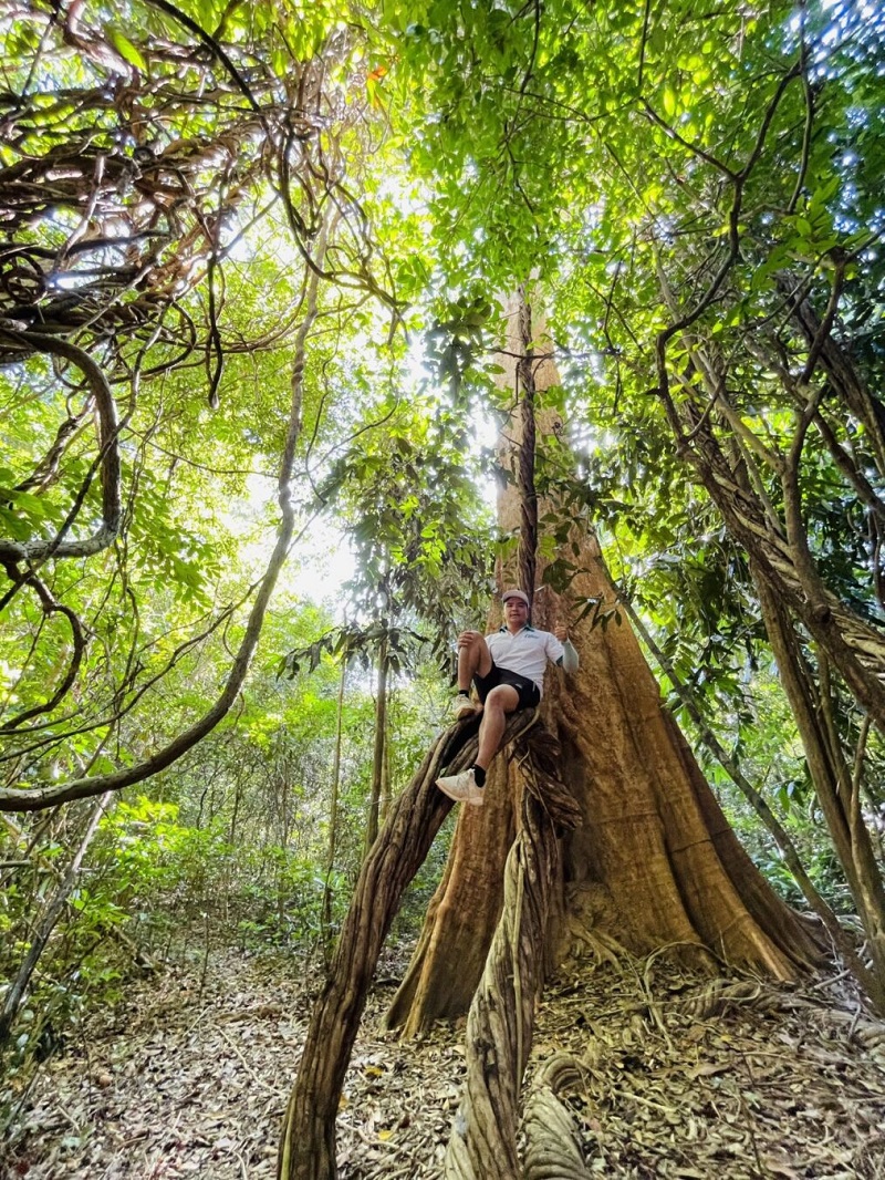 hit-tho-khong-khi-trong-lanh-va-thu-gian-vuon-quoc-gia-phu-quoc