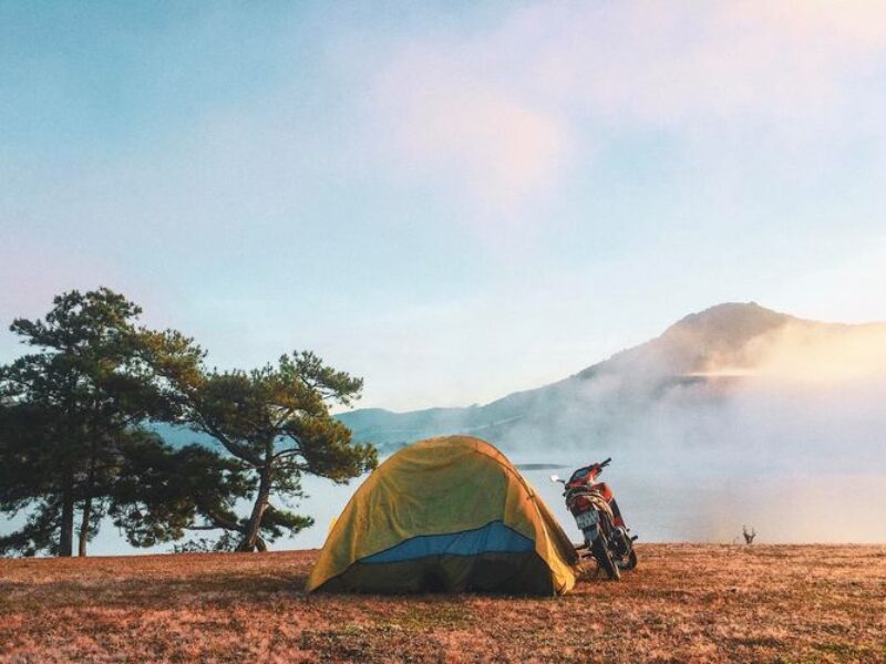 ket-hop-tham-quan-nhe-nhang-doi-co-hong