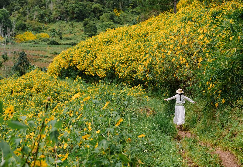 kham-pha-da-lat-dep-nhat-trong-nam