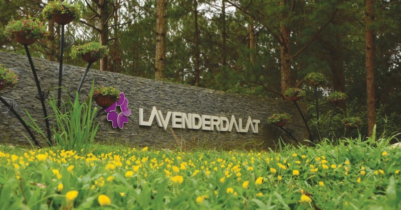 khu-du-lich-lavender-da-lat