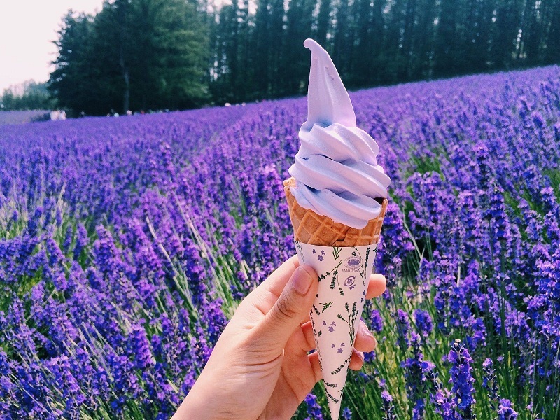 mua-san-pham-tu-hoa-lavender-ve-lam-qua
