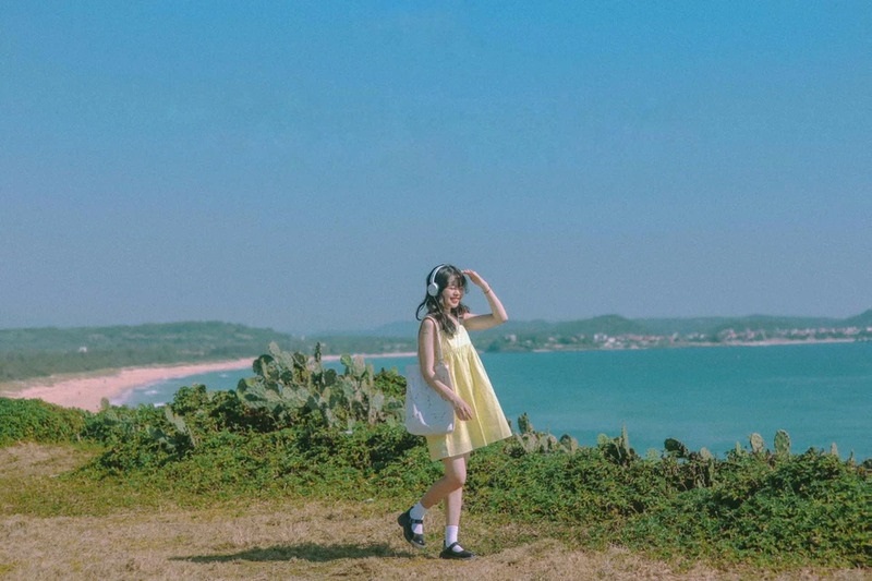 phu-yen-hoa-vang-tren-co-xanh