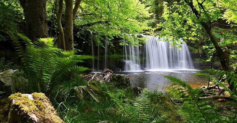 tham-quan-suoi-tan-huong-khong-gian-mat-lanh