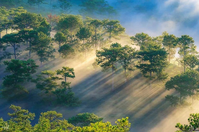 thoi-tiet-da-lat-thang-11