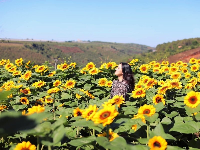  thoi-tiet-da-lat-thang-6