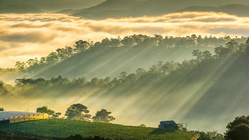 tiet-troi-thang-7-da-lat