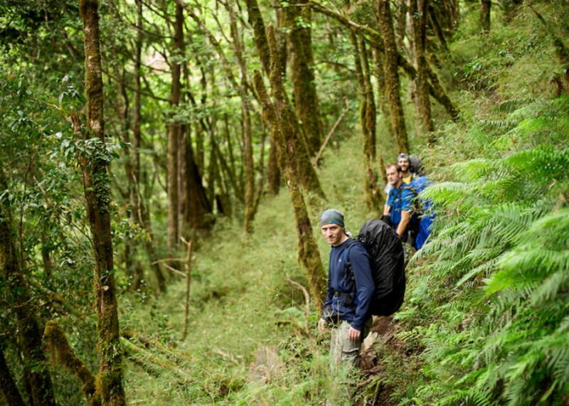 trekking-kham-pha-rung-nguyen-sinh