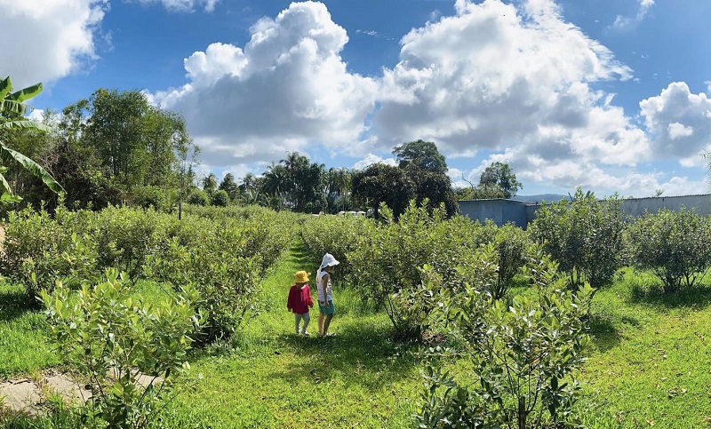 checkin-giua-doi-sim