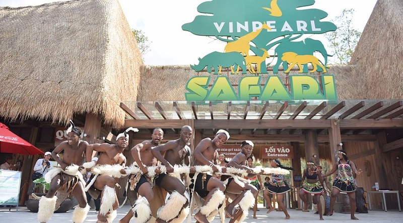 gia-ve-vao-safari