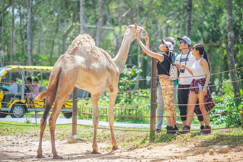 kinh-nghiem-du-lich-safari-phu-quoc