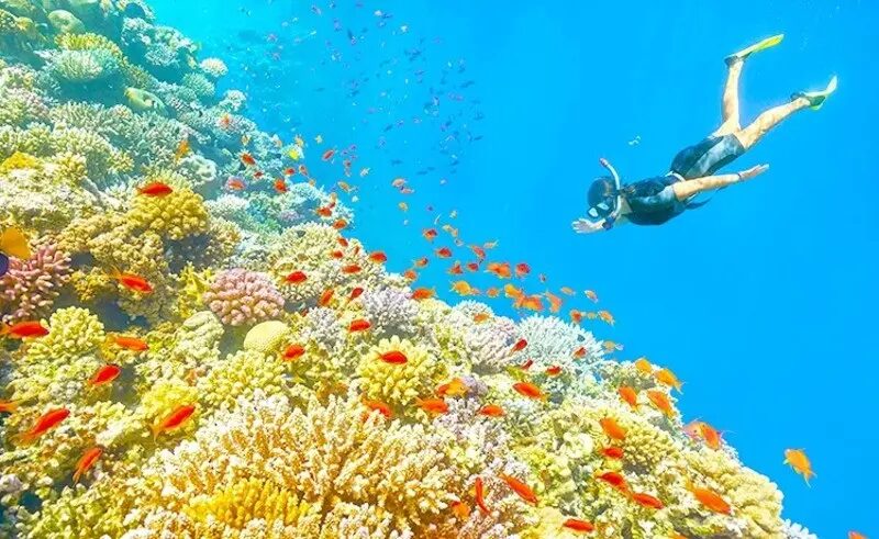 lan-ngam-san-ho-phu-quoc