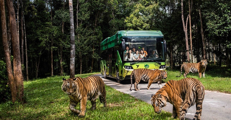 vinpearl-safari-phu-quoc